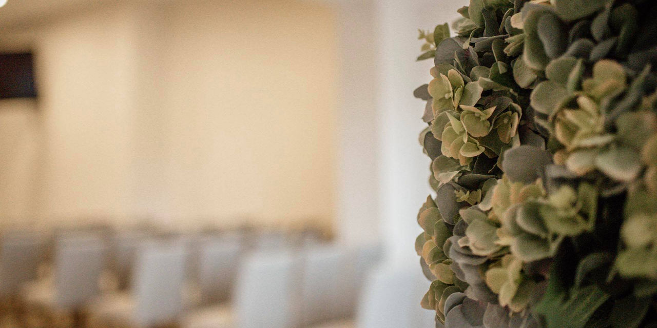 An image of leaves and a blurred background with chairs